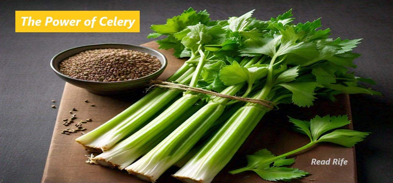 1722458640_The Power of Celery By Read Rife.jpg